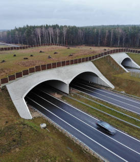 expressway-S7-on-the-nidzica