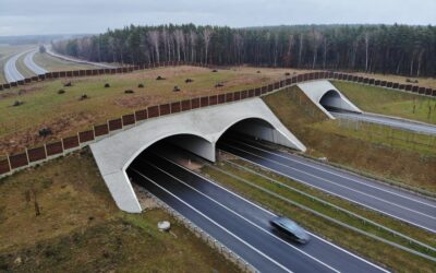 OptemARCH – viaduct assembly for expressway section