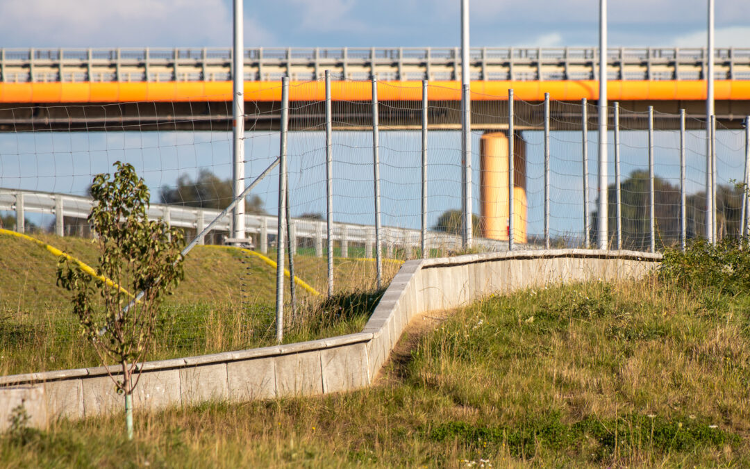 OptemFROG – expressway section design and build