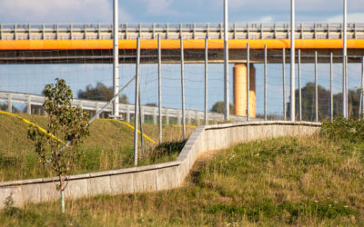 OptemFROG – expressway section design and build
